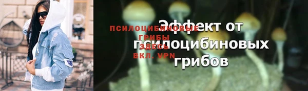 герыч Бородино
