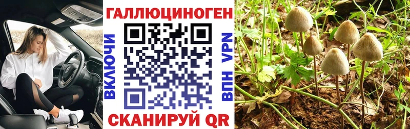 сайты даркнета состав  Яровое  Галлюциногенные грибы Cubensis 